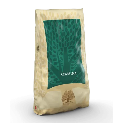 STAMINA 10 Kg